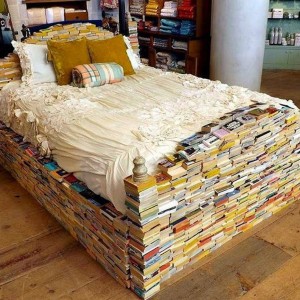 Book bed and storage
