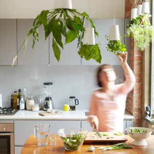 boskke_sky_planter